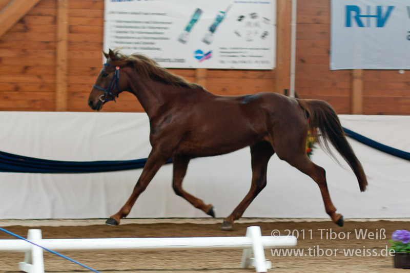 Mirabella del Sol (FR)