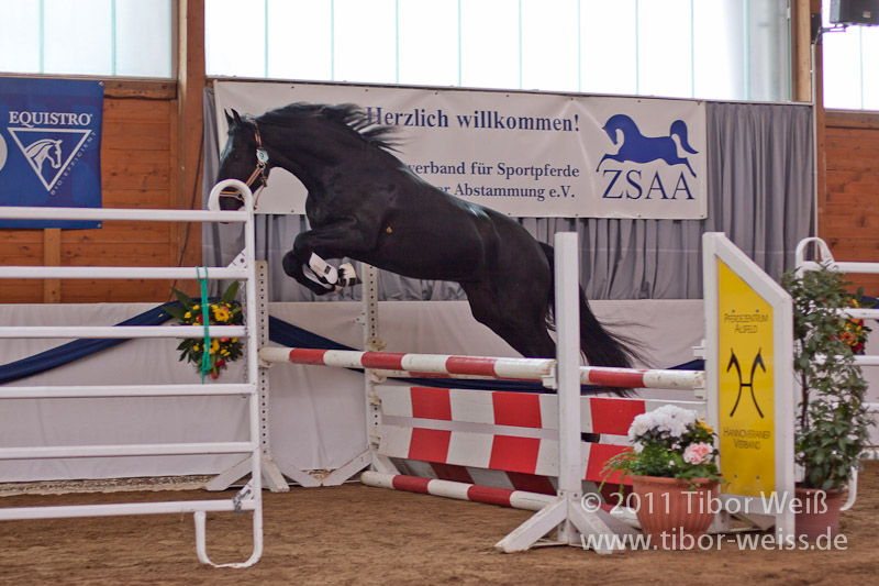 Abel van de Livensdael