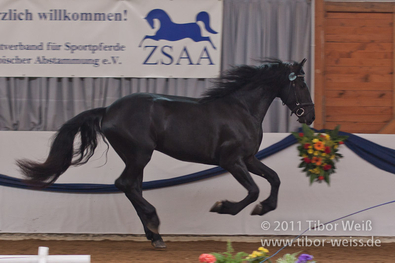 Abel van de Livensdael